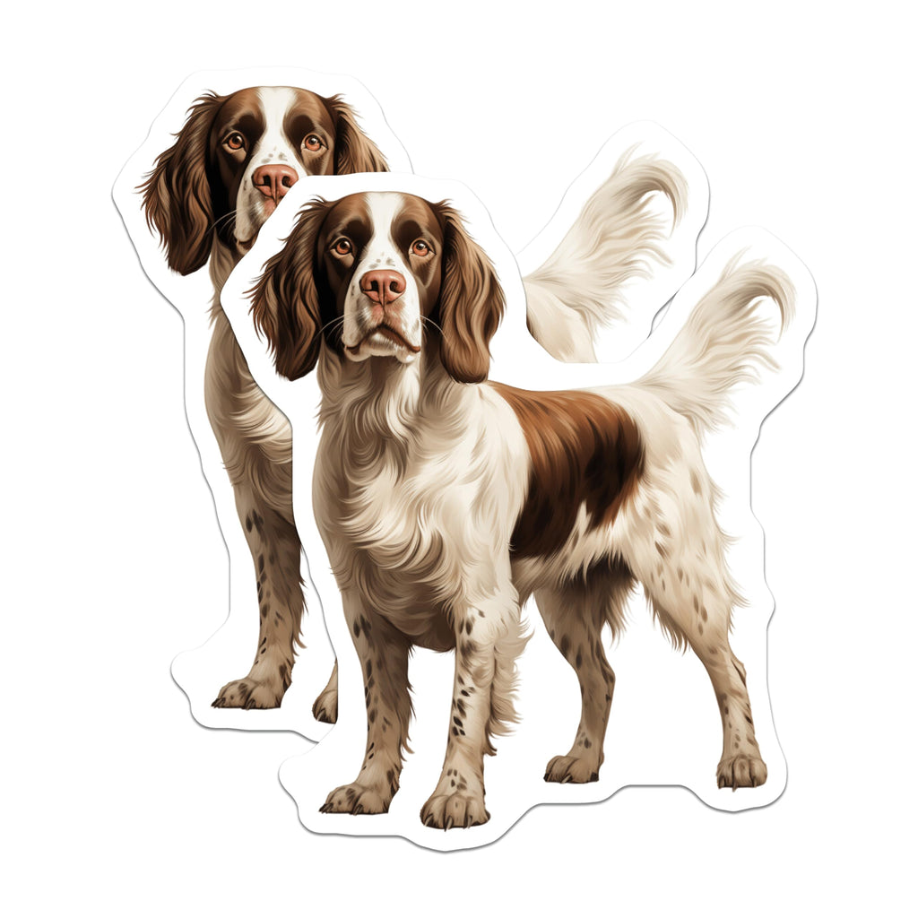 (2 Pack) Springer Spaniel Magnets - Dog Breed Artwork - Pet Owner Accessory - 5 Inches On Longest Side - Thick Durable Magnet - Made in USA - MAG25587