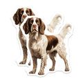 (2 Pack) Springer Spaniel Magnets - Dog Breed Artwork - Pet Owner Accessory - 5 Inches On Longest Side - Thick Durable Magnet - Made in USA - MAG25587