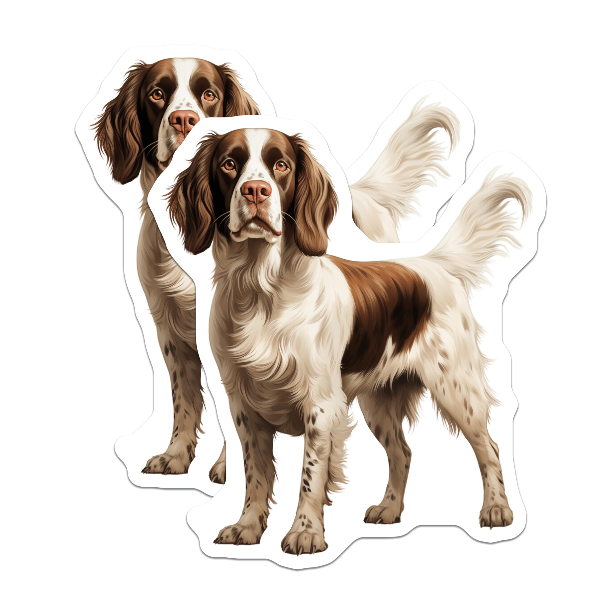 (2 Pack) Springer Spaniel Magnets - Dog Breed Artwork - Pet Owner Accessory - 5 Inches On Longest Side - Thick Durable Magnet - Made in USA - MAG25587