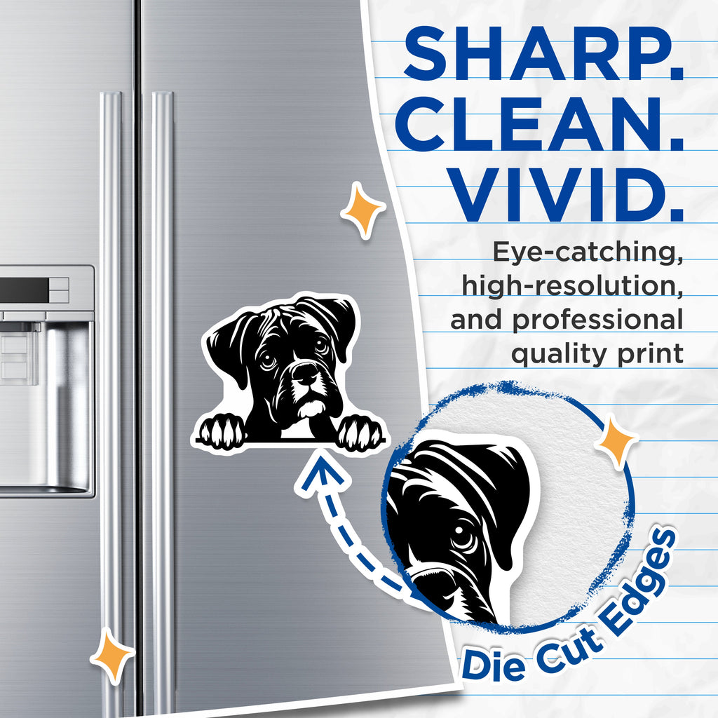 (2 Pack) Boxer Dog Magnets - Cute Peekaboo Puppy Refrigerator Decor - Animal Lover Pet Parent Accent - 5 Inches On Longest Side - Thick Durable Magnet - Made in USA - MAG39490