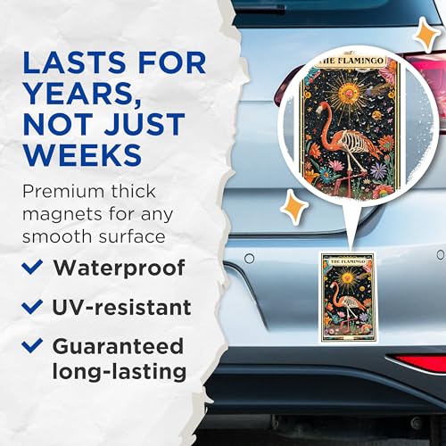 (2 Pack) The Flamingo Magnets - Colorful Art - Skeleton Flamingo Fridge Magnets - 5" On Longest Side - for Cars, Fridges, Toolboxes - Made in USA - MAG3672
