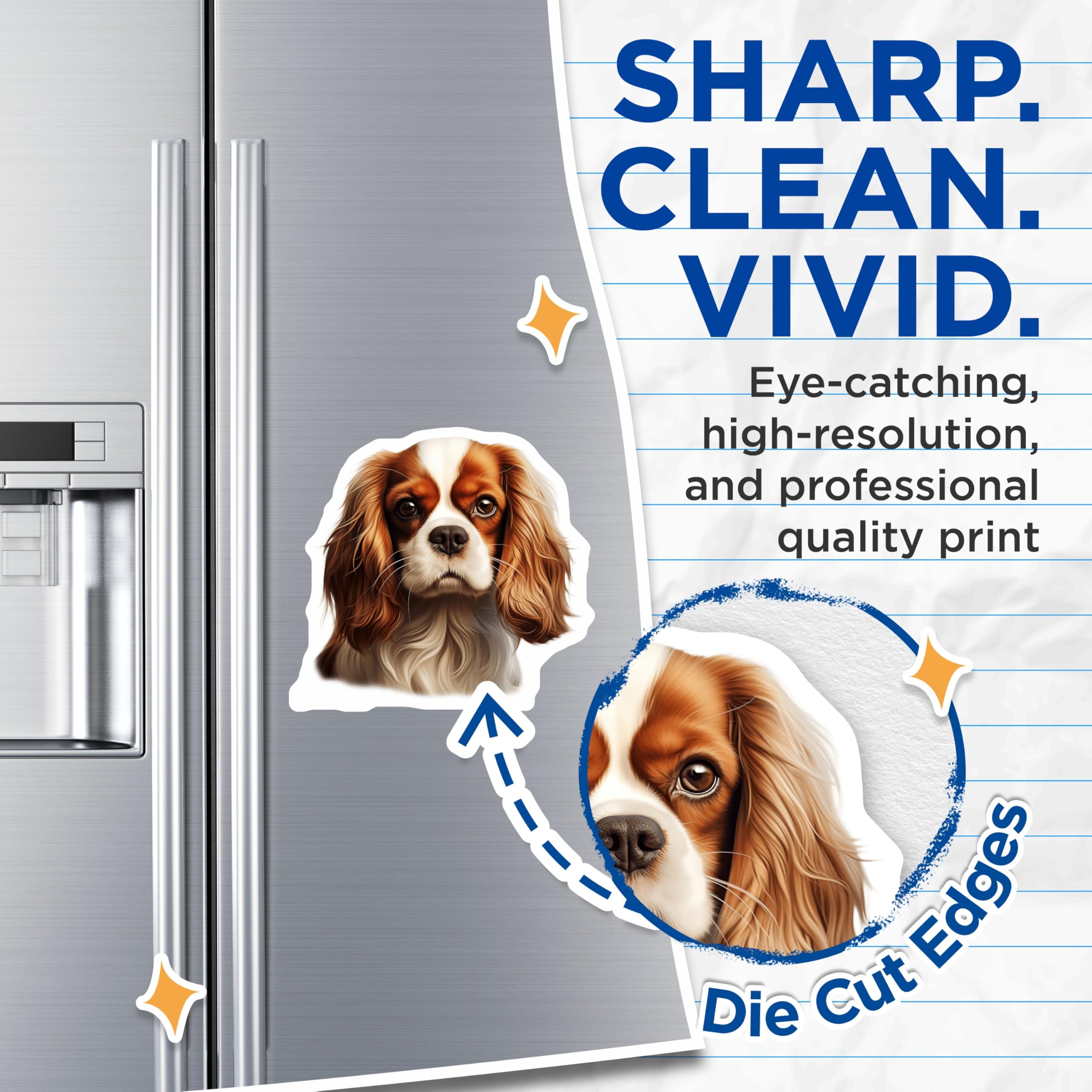 (2 Pack) Cavalier King Charles Spaniel Magnets - Dog Lover Decor - Pet Parent Refrigerator Magnets - 5 Inches On Longest Side - Thick Durable Magnet - Made in USA - MAG25247