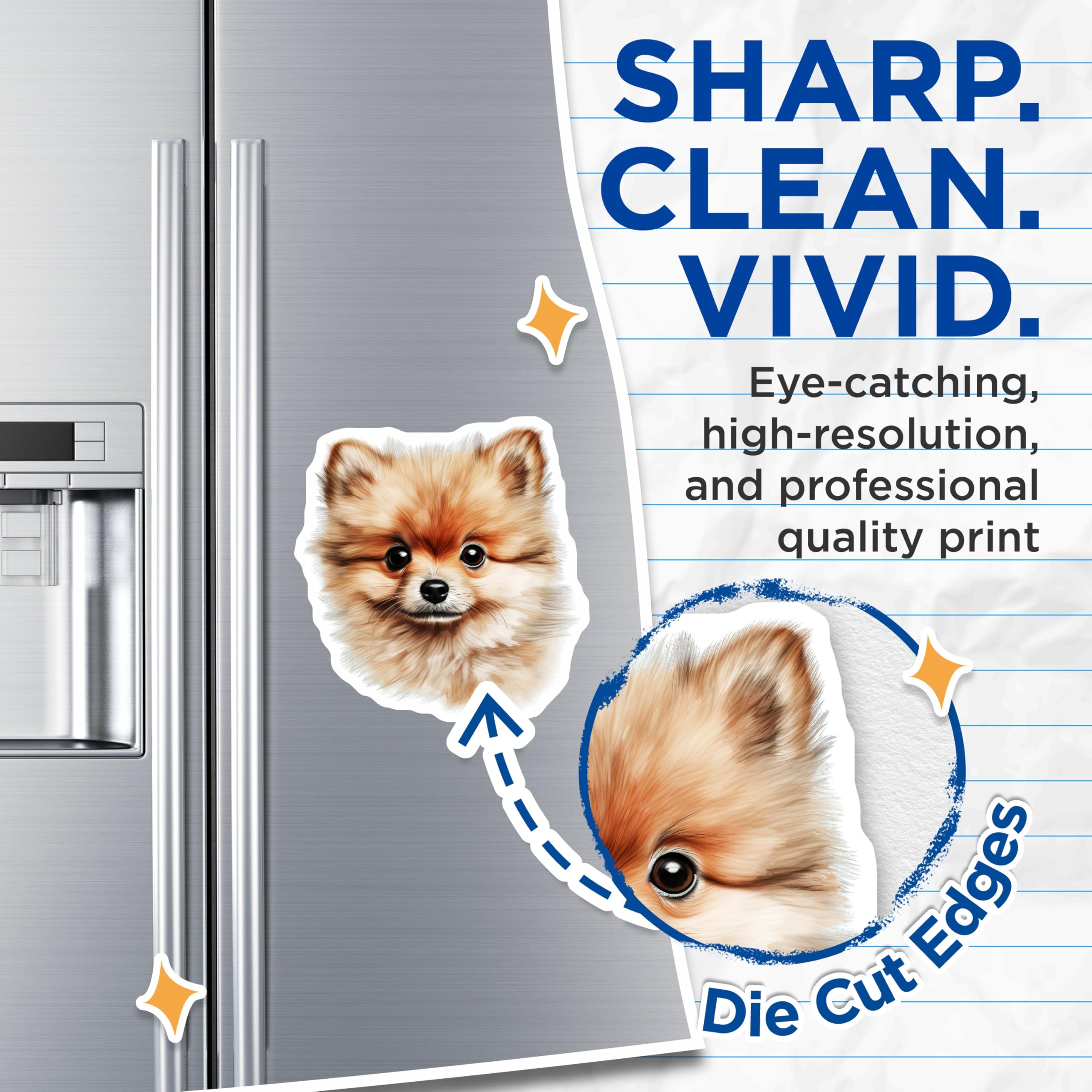 (2 Pack) Pomeranian Dog Magnets - Fluffy Puppy Art - Pet Owner Fridge Magnets - 5 Inches On Longest Side - Thick Durable Magnet - Made in USA - MAG26718