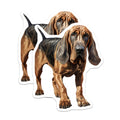 (2 Pack) Bloodhound Dog Magnets - Realistic Hound Dog Decor - Pet Lover Refrigerator Accessory - 5 Inches On Longest Side - Thick Durable Magnet - Made in USA - MAG27264