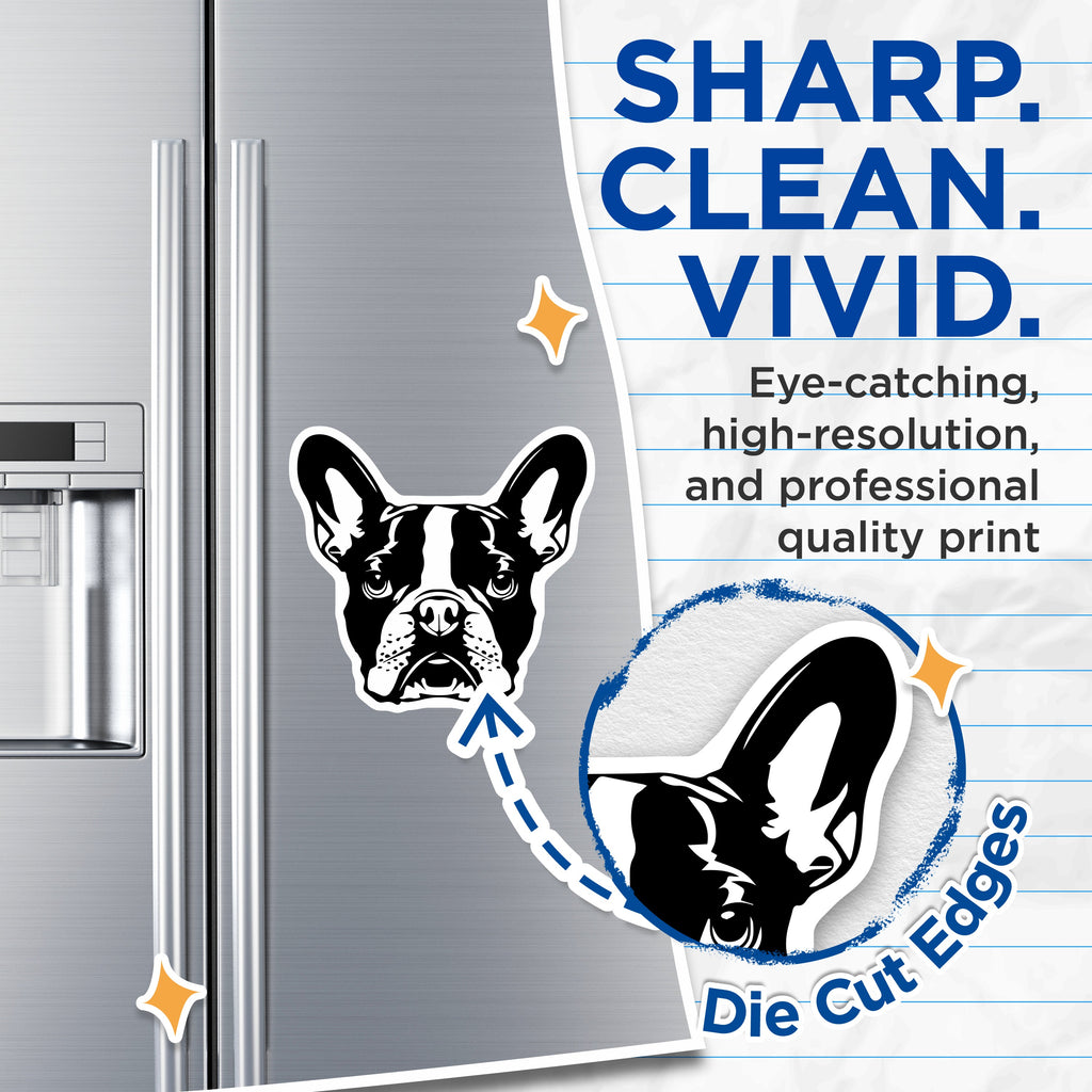 (2 Pack) French Bulldog Magnets - Frenchie Dog Lover Decor - Pet Owner Refrigerator Art - 5 Inches On Longest Side - Thick Durable Magnet - Made in USA - MAG38826