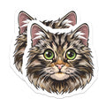 (2 Pack) Tabby Cat Magnets - Cute Pet Lover Refrigerator Decor - Animal Face Locker Magnets - 5 Inches On Longest Side - Thick Durable Magnet - Made in USA - MAG36847