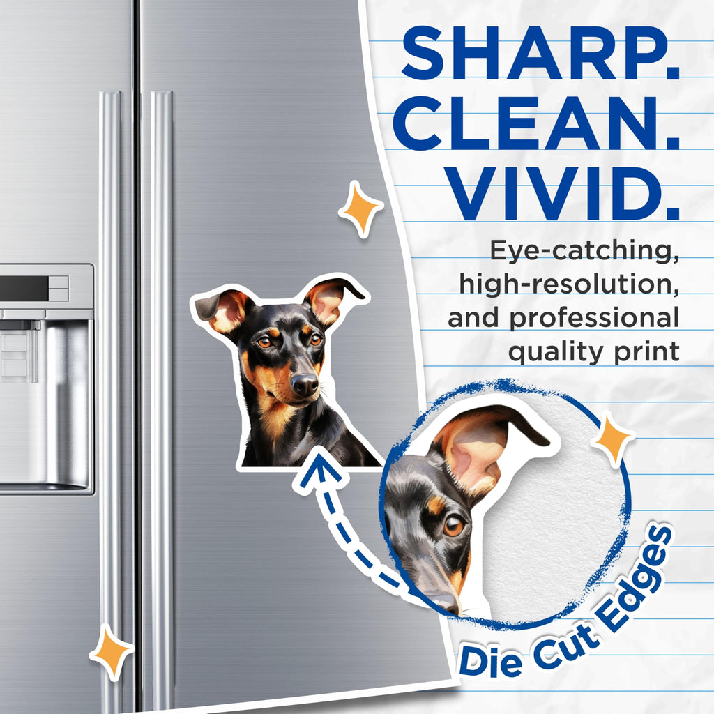 (2 Pack) Doberman Pinscher Magnets - Watercolor Dog Art - Pet Lover Home Decor - 5 Inches On Longest Side - Thick Durable Magnet - Made in USA - MAG25170