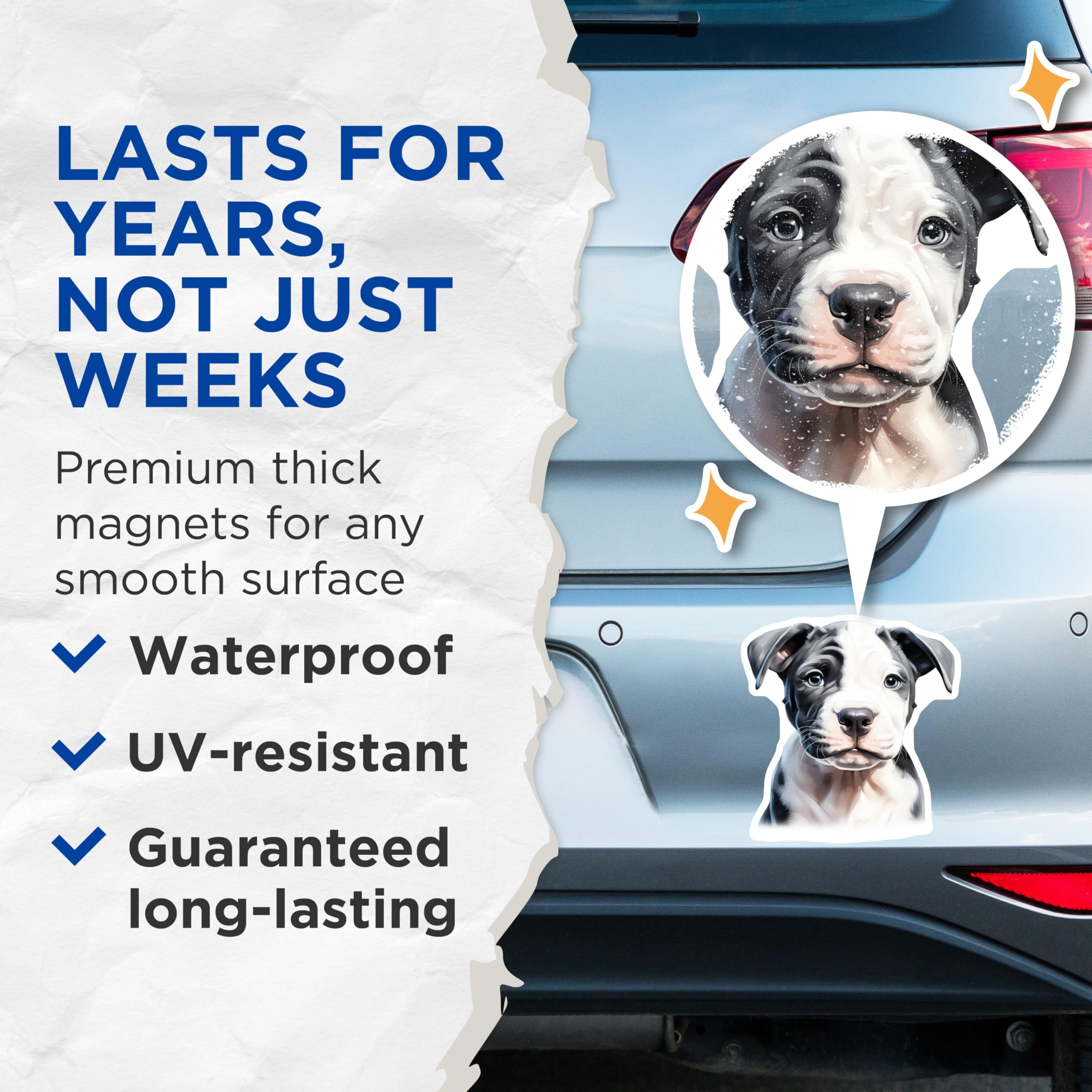 (2 Pack) Pitbull Puppy Magnets - Dog Lover Pet Portrait - Animal Fridge Decor - Pet Parent Kitchen Accent - 5 Inches On Longest Side - Thick Durable Magnet - Made in USA - MAG28120