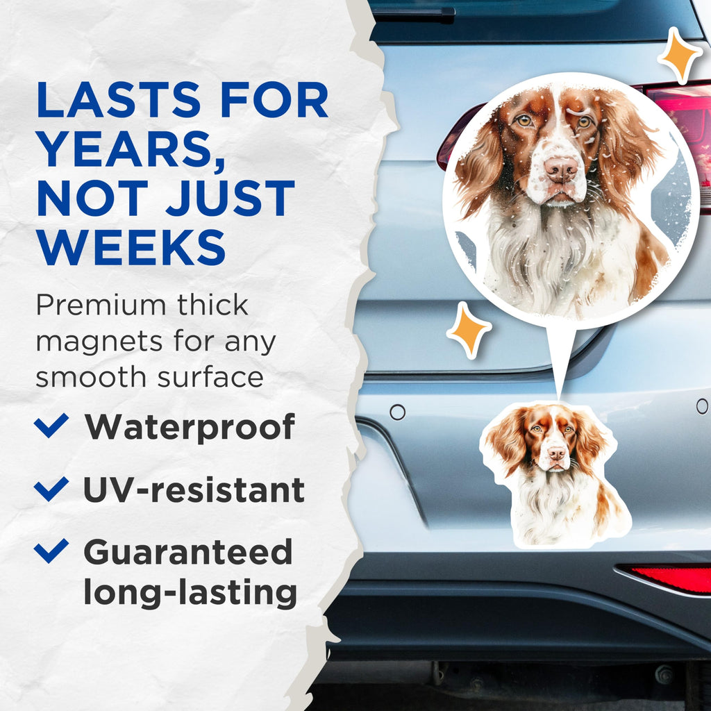 (2 Pack) English Springer Spaniel Magnets - Dog Breed Art - Watercolor Pet Decor - 5 Inches On Longest Side - Thick Durable Magnet - Made in USA - MAG27142
