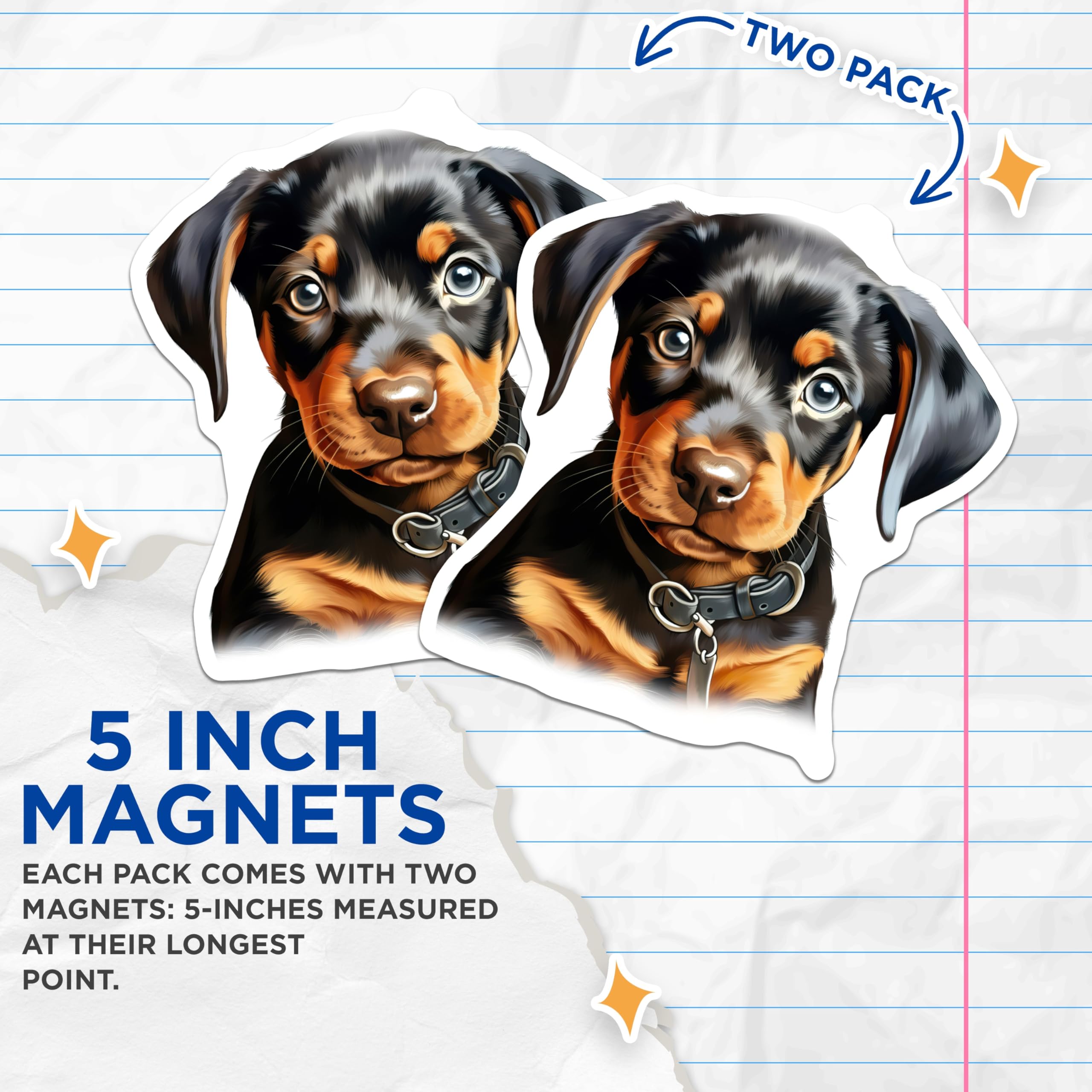 (2 Pack) Rottweiler Puppy Magnets - Cute Dog Breed Art - Pet Owner Fridge Decor - Animal Lover Collectibles - 5 Inches On Longest Side - Thick Durable Magnet - Made in USA - MAG23727