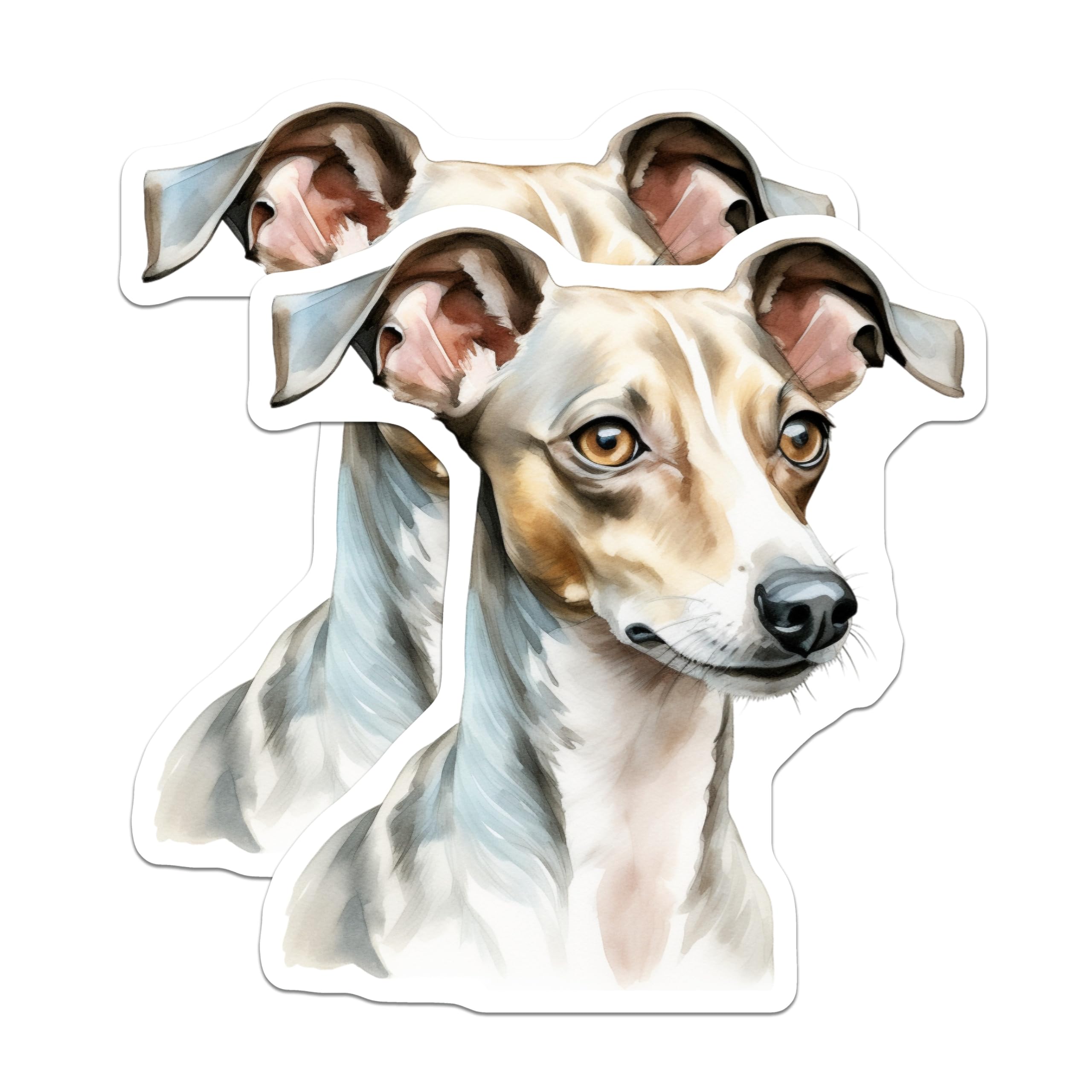 (2 Pack) Italian Greyhound Magnets - Dog Breed Lover Decor - Watercolor Pet Art - Fridge Locker Office - 5 Inches On Longest Side - Thick Durable Magnet - Made in USA - MAG25498
