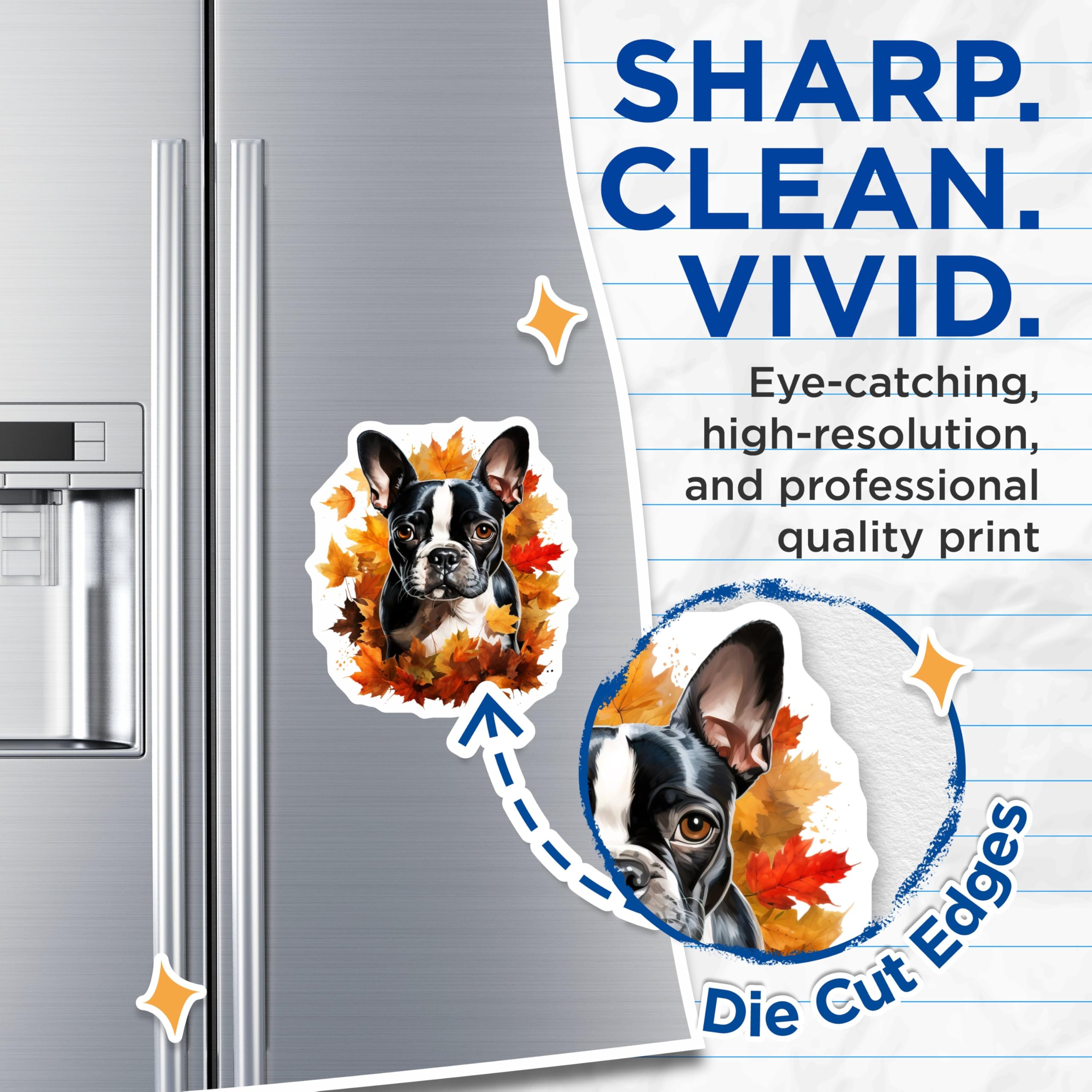 (2 Pack) Boston Terrier Magnets - Fall Leaves Dog Decor - Autumn Pet Lover Present for Dog Owners - 5 Inches On Longest Side - Thick Durable Magnet - Made in USA - MAG27561