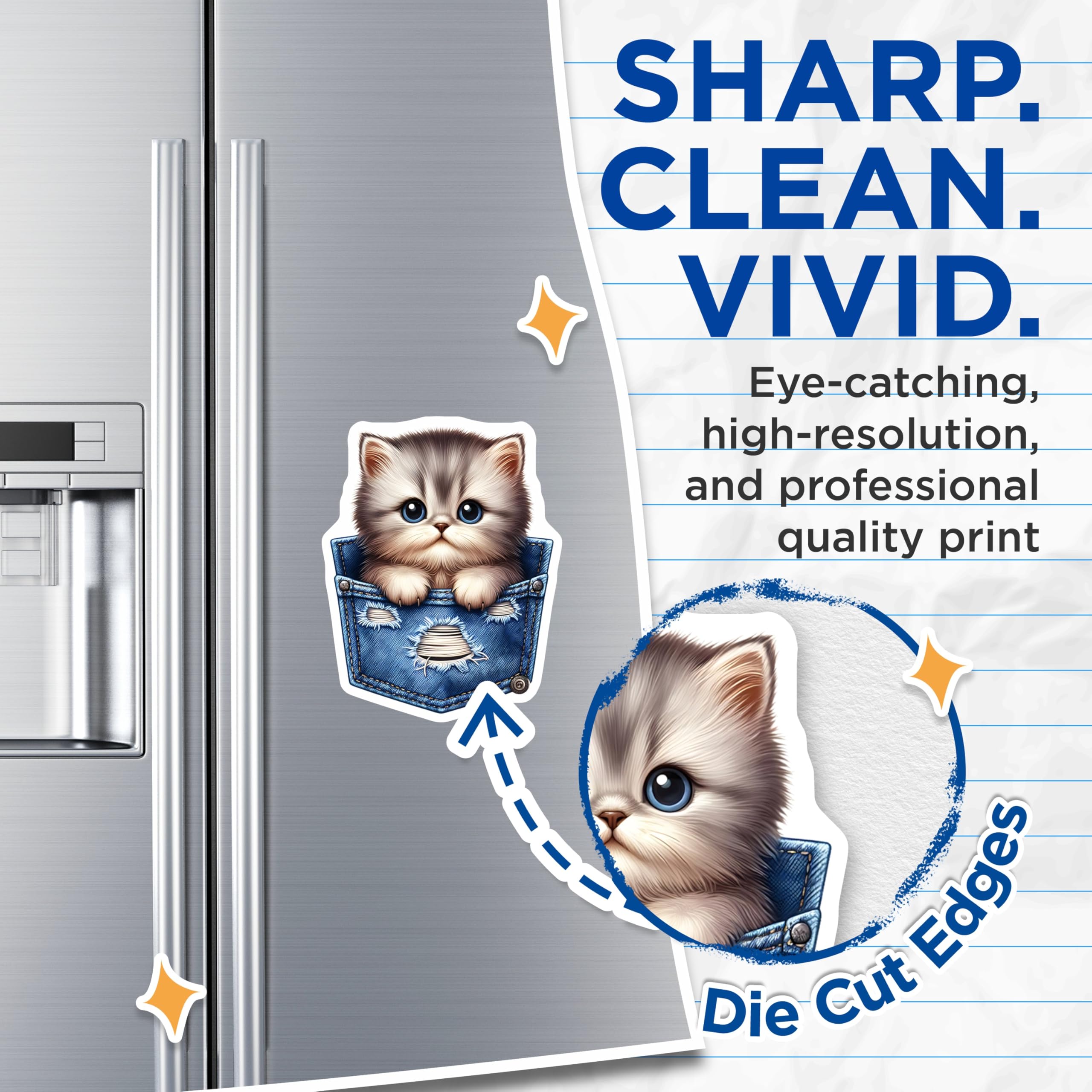 (2 Pack) Kitten Magnets - Pocket Cat Art - Refrigerator Magnets - 5" On Longest Side - Premium Magnet - for Cars, Refrigerators, Toolboxes, Lockers - Made in USA - MAG15751