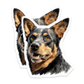 (2 Pack) Australian Cattle Dog Magnets - Blue Heeler Dog Art - Pet Lover Decor Accessory - 5 Inches On Longest Side - Thick Durable Magnet - Made in USA - MAG24094