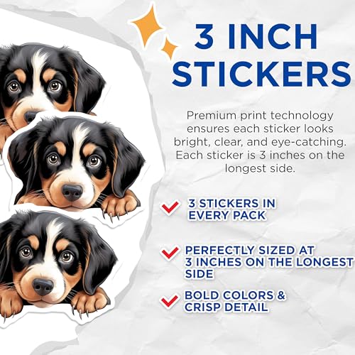 (3 Pack) Bernese Mountain Dog Decals - Cute Puppy Dog - Laptop Car Decals - 3 Inches On Longest Side - Easy Peel & Apply - Made in USA - 3MCS8742