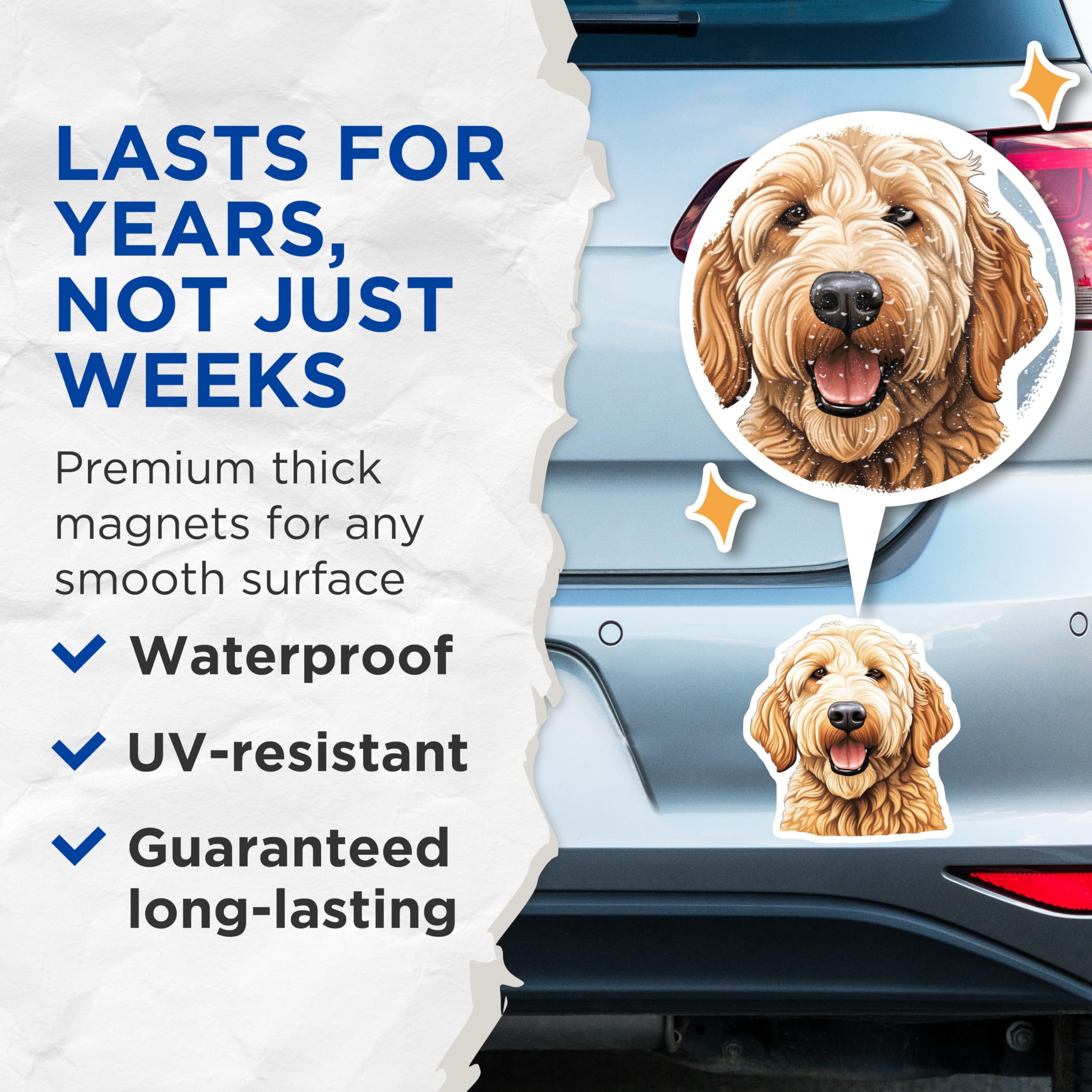 (2 Pack) Goldendoodle Dog Magnets - Dog Lover Kitchen Decor - Pet Parent Refrigerator - 5 Inches On Longest Side - Thick Durable Magnet - Made in USA - MAG26695