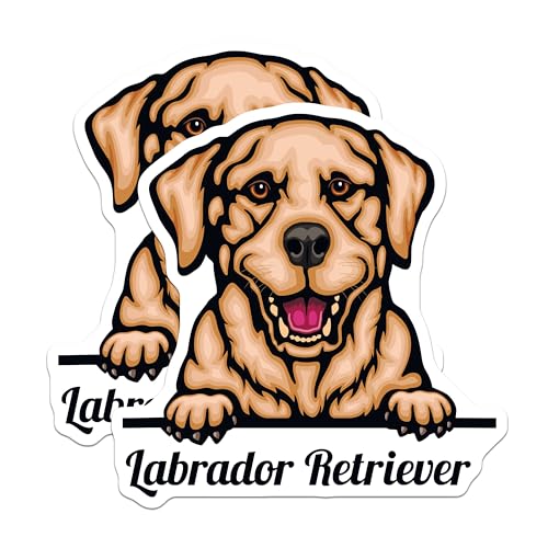 (2 Pack) Labrador Retriever Magnets - Dog Lover Magnets - Animal - 5" On Longest Side - for Cars, Fridges, Toolboxes - Made in USA - MAG4216