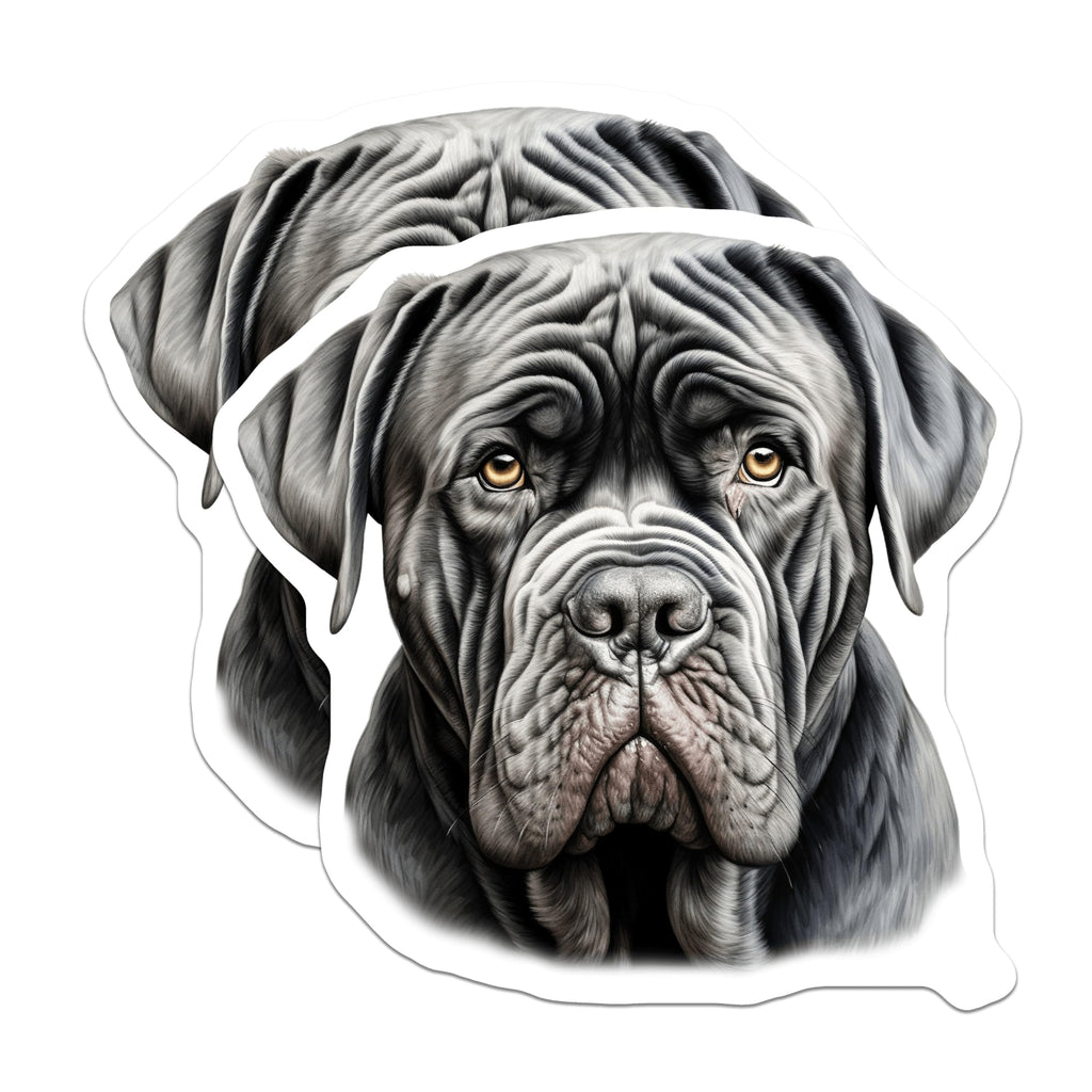 (2 Pack) Neapolitan Mastiff Magnets - Large Dog Breed Decor - Pet Parent Refrigerator Art - Wrinkled Dog Portrait - 5 Inches On Longest Side - Thick Durable Magnet - Made in USA - MAG30060