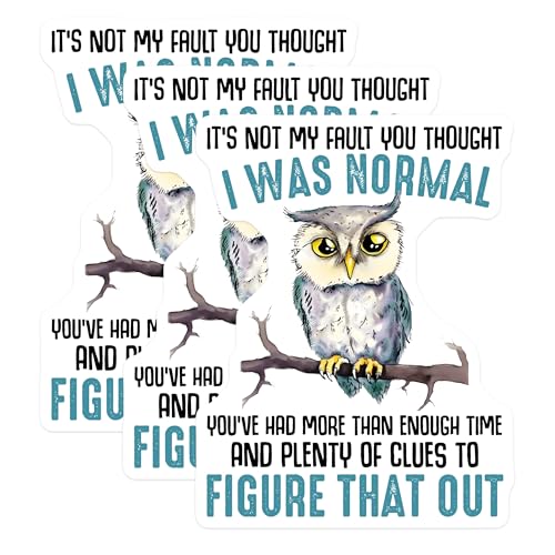 (3 Pack) Funny Owl Decals - Sarcastic Quote Stickers - Laptop Decal - 3 Inches On Longest Side - Easy Peel & Apply - Made in USA - 3MCS6503