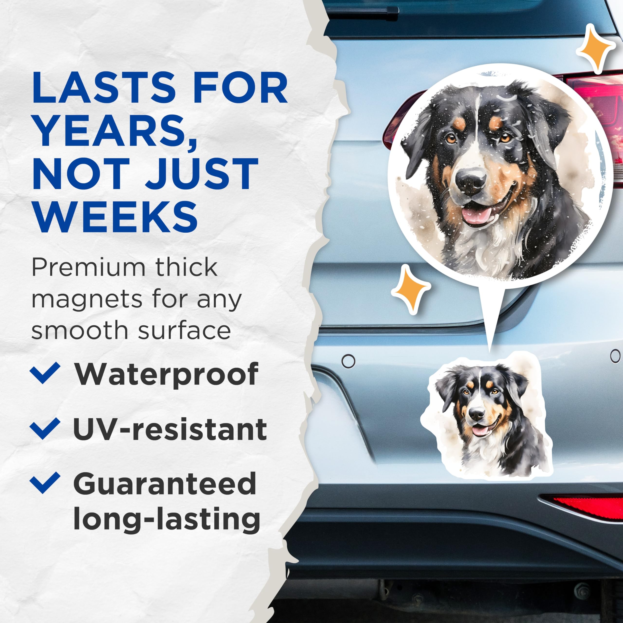 (2 Pack) Bernese Mountain Dog Magnets - Watercolor Dog Art - Dog Lover Decor - 5 Inches On Longest Side - Thick Durable Magnet - Made in USA - MAG27595