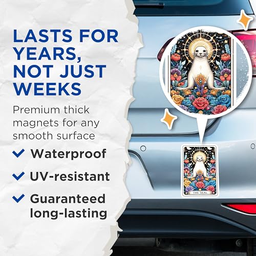 (2 Pack) Seal Magnets - Cute Seal Illustration - Seal Animal Art Magnets for Fridge - Animal Lover Decal Magnets - Home - 5" On Longest Side - for Cars, Fridges, Toolboxes - Made in USA - MAG4487