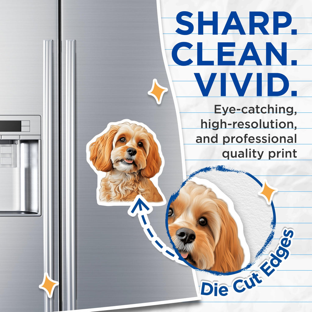 (2 Pack) Cavapoo Dog Magnets - Cute Puppy Fridge Locker Magnets - Pet Owner Animal Lover Decor - 5 Inches On Longest Side - Thick Durable Magnet - Made in USA - MAG26302