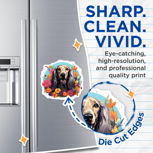 (2 Pack) Afghan Hound Magnets - Happy Dog Floral Art - Pet Lover Refrigerator Decor - Colorful Animal Art - 5 Inches On Longest Side - Thick Durable Magnet - Made in USA - MAG23836