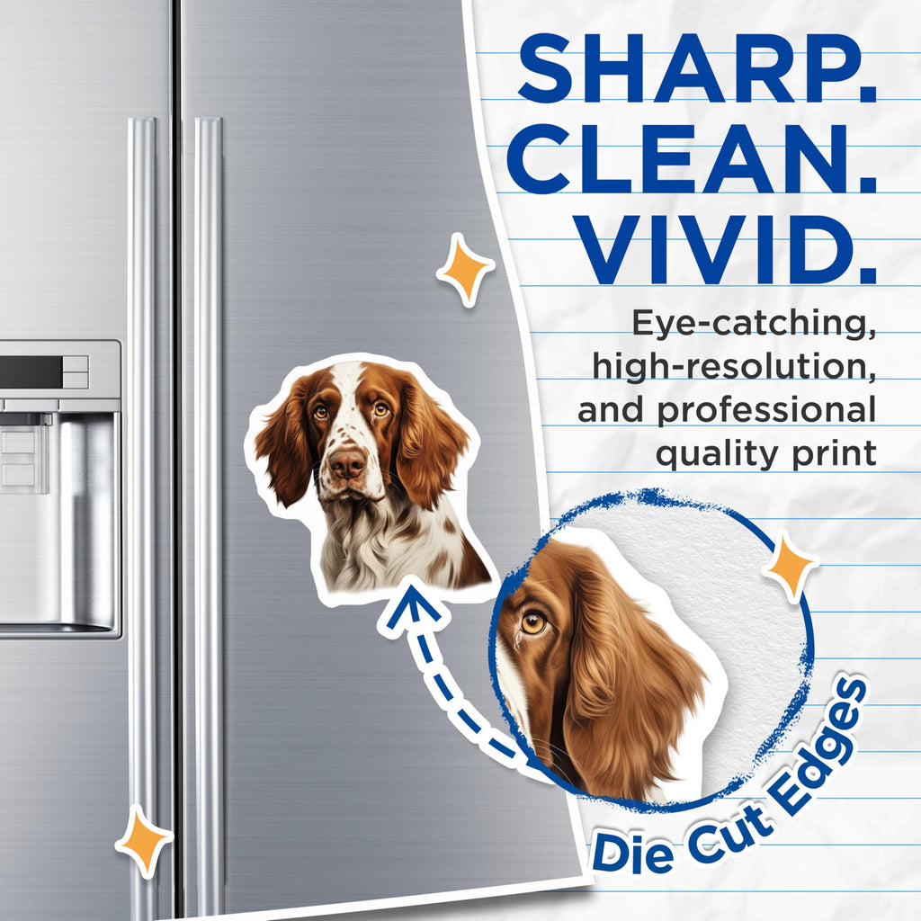(2 Pack) English Springer Spaniel Magnets - Detailed Dog Portrait - Pet Owner Decor - Animal Lover Collectible - 5 Inches On Longest Side - Thick Durable Magnet - Made in USA - MAG23466