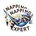 (2 Pack) Napping Expert Magnets - Cute Raccoon Magnet - Funny Sleepy Animal Magnet - 5" On Longest Side - for Cars, Fridges, Toolboxes - Made in USA - MAG4539