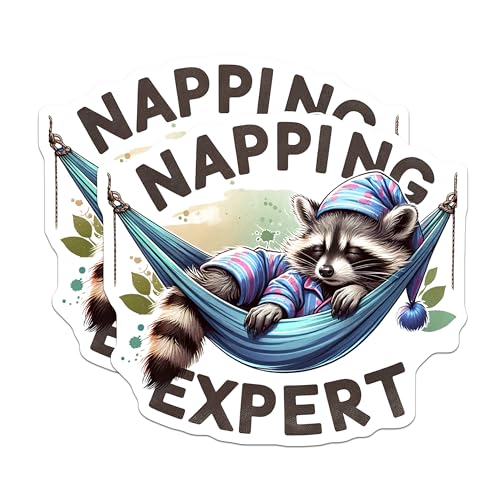 (2 Pack) Napping Expert Magnets - Cute Raccoon Magnet - Funny Sleepy Animal Magnet - 5" On Longest Side - for Cars, Fridges, Toolboxes - Made in USA - MAG4539