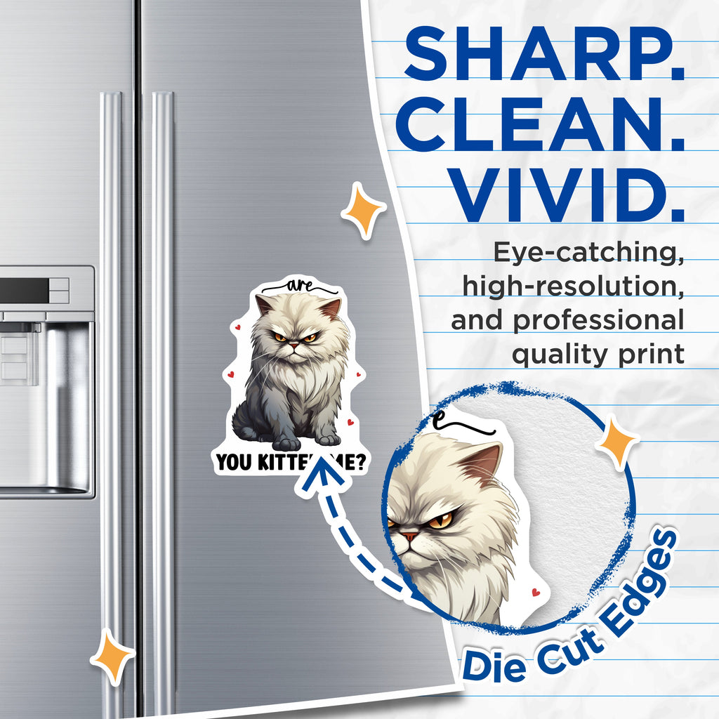 (2 Pack) Grumpy Cat Magnets - Funny Kitten Me Phrase - Sarcastic Cat Refrigerator Decor - Pet Owner Humor - 5 Inches On Longest Side - Thick Durable Magnet - Made in USA - MAG36518
