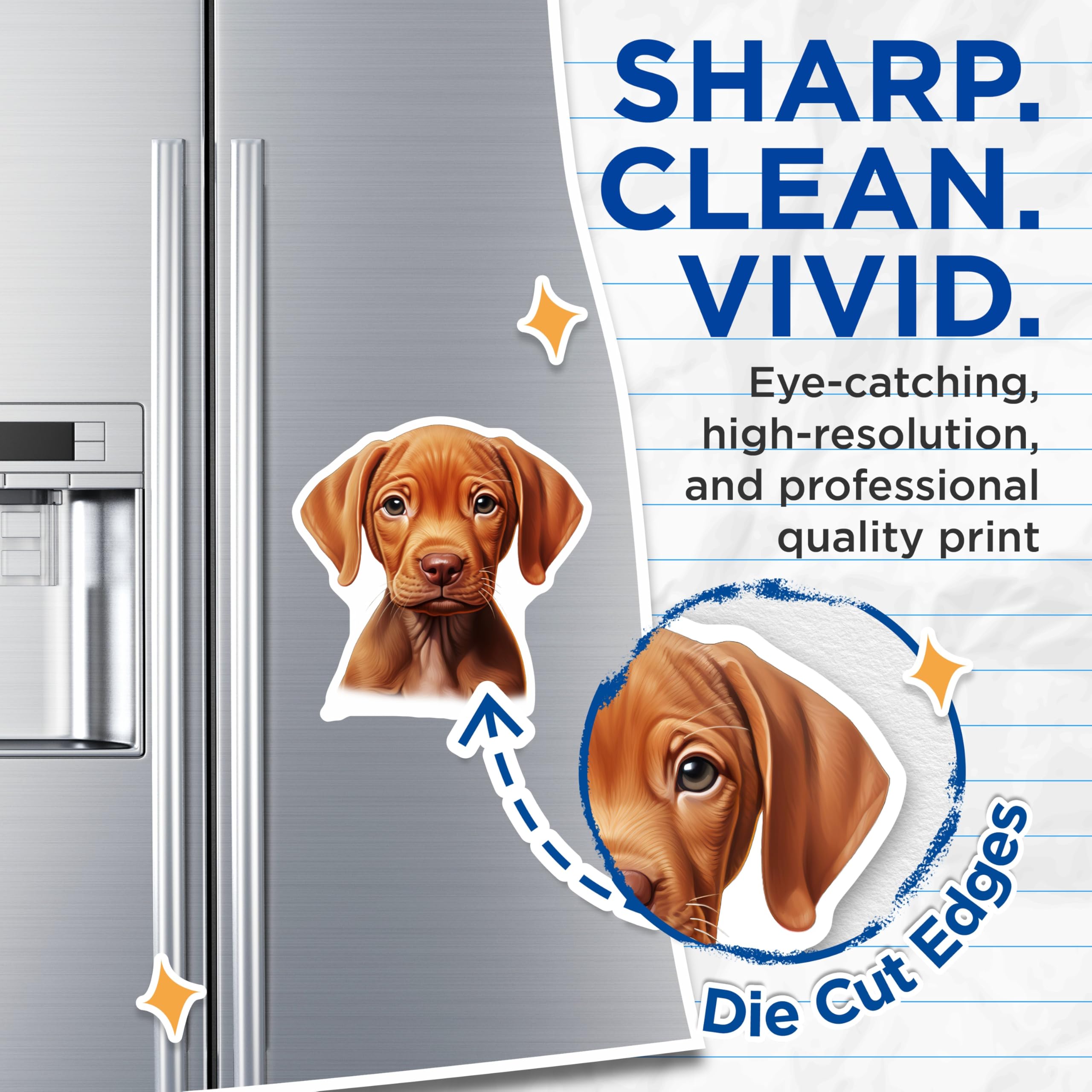 (2 Pack) Vizsla Puppy Magnets - Cute Dog Breed Art - Pet Lover Refrigerator Decor - 5 Inches On Longest Side - Thick Durable Magnet - Made in USA - MAG26937