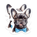 (2 Pack) French Bulldog Magnets - French Bulldog Dog Breed Magnets - Frenchie Breed - 5 Inches On Longest Side - Premium Magnet - for Cars, Refrigerators, Toolboxes - Made in USA - MAG2188