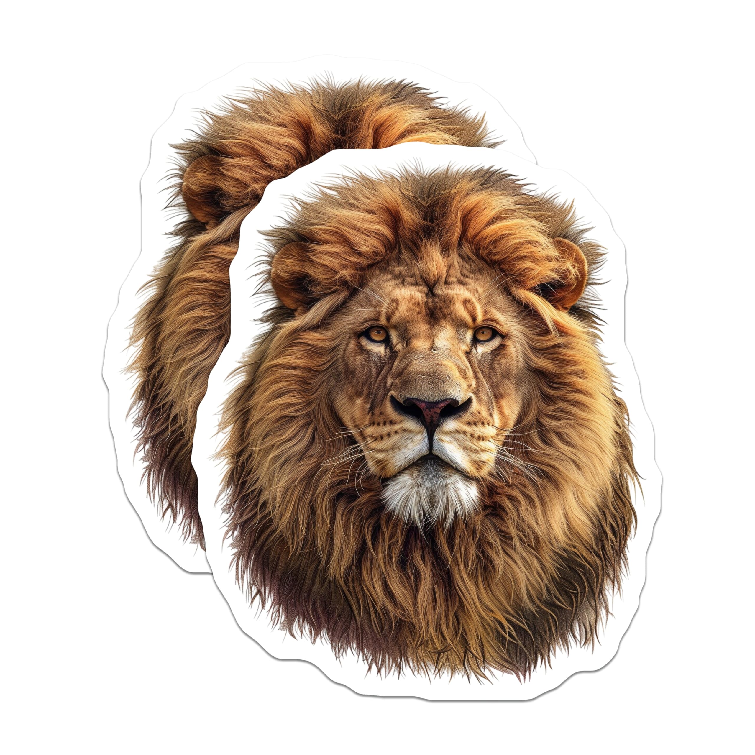 (2 Pack) Lion Head Magnets - Regal Animal Decor - Wildlife Fridge Magnets - 5" On Longest Side - Premium Magnet - for Cars, Refrigerators, Toolboxes, Lockers - Made in USA - MAG15687