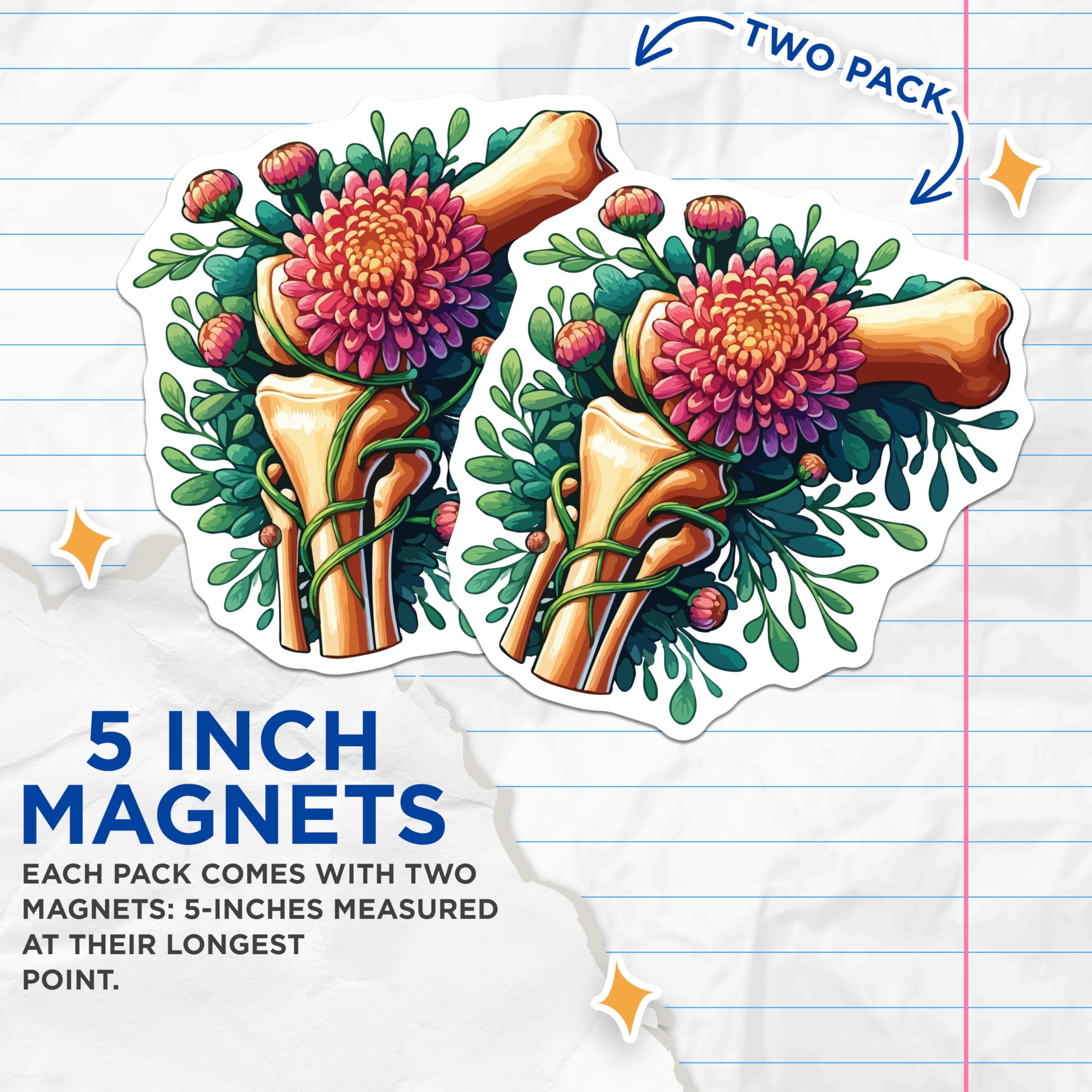 (2 Pack) Anatomical Bone Magnets - Floral Skeleton Art - Science Nature Decor - 5 Inches On Longest Side - Thick Durable Magnet - Made in USA - MAG19706