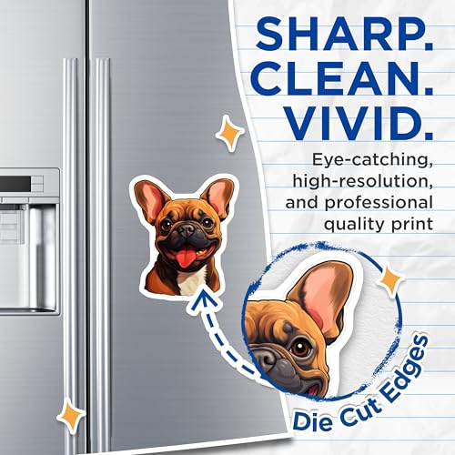 (2 Pack) French Bulldog Magnets - Dog Lover Gift - Cute Animal Prints for Fridge - 5" On Longest Side - for Cars, Fridges, Toolboxes - Made in USA - MAG3945