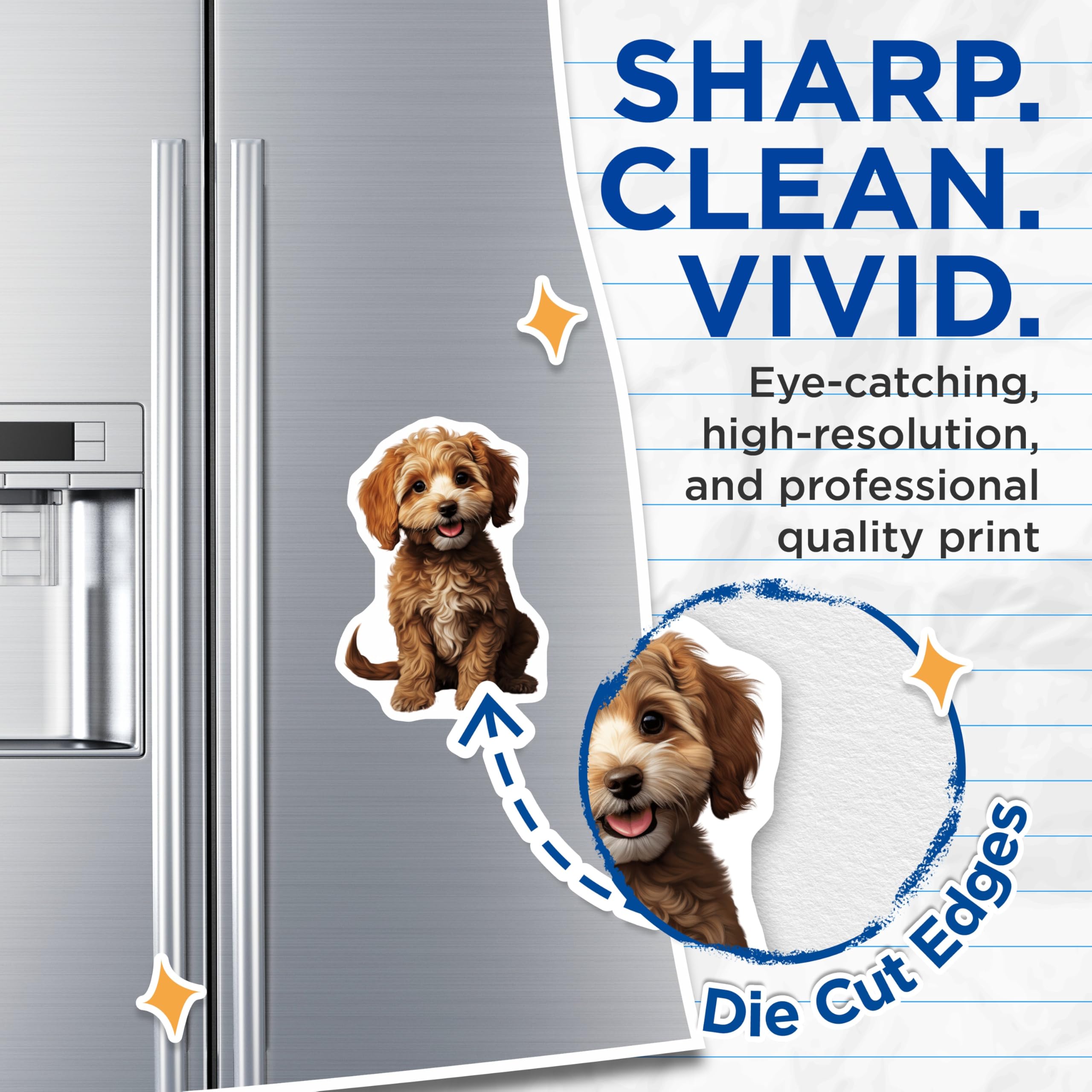 (2 Pack) Cavapoo Puppies Magnets - Adorable Dog Lovers Decor - Cute Pet Owner Accessories - 5 Inches On Longest Side - Thick Durable Magnet - Made in USA - MAG24549