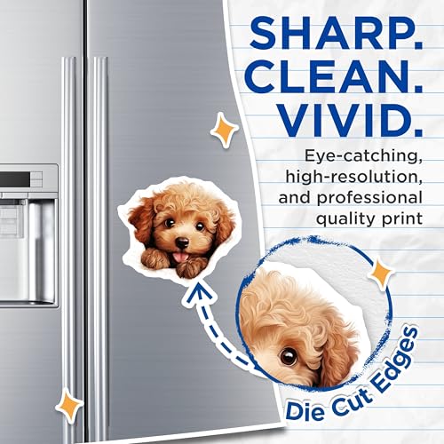 (2 Pack) Adorable Pet Magnet - Fridge Decor - Animal Lover - Puppy Enthusiast - 5" On Longest Side - Sticks to Smooth Flat Surfaces - Made in USA - MAG10254