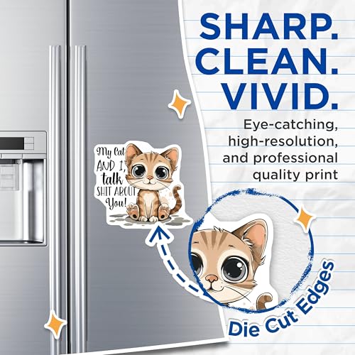 (2 Pack) Cat Quote Magnets - Funny Cat - Cute Cat Magnet - 5" On Longest Side - for Cars, Fridges, Toolboxes - Made in USA - MAG4336