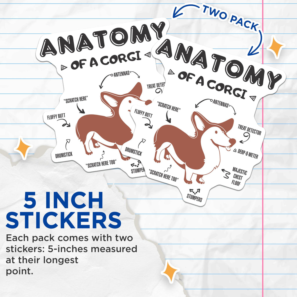 (2 Pack) Anatomy of a Corgi Stickers - Cute Dog Decal - Funny Pet Illustration - 5" On Longest Side - Sticks to Smooth Flat Surfaces - Made in USA - BMCS8512