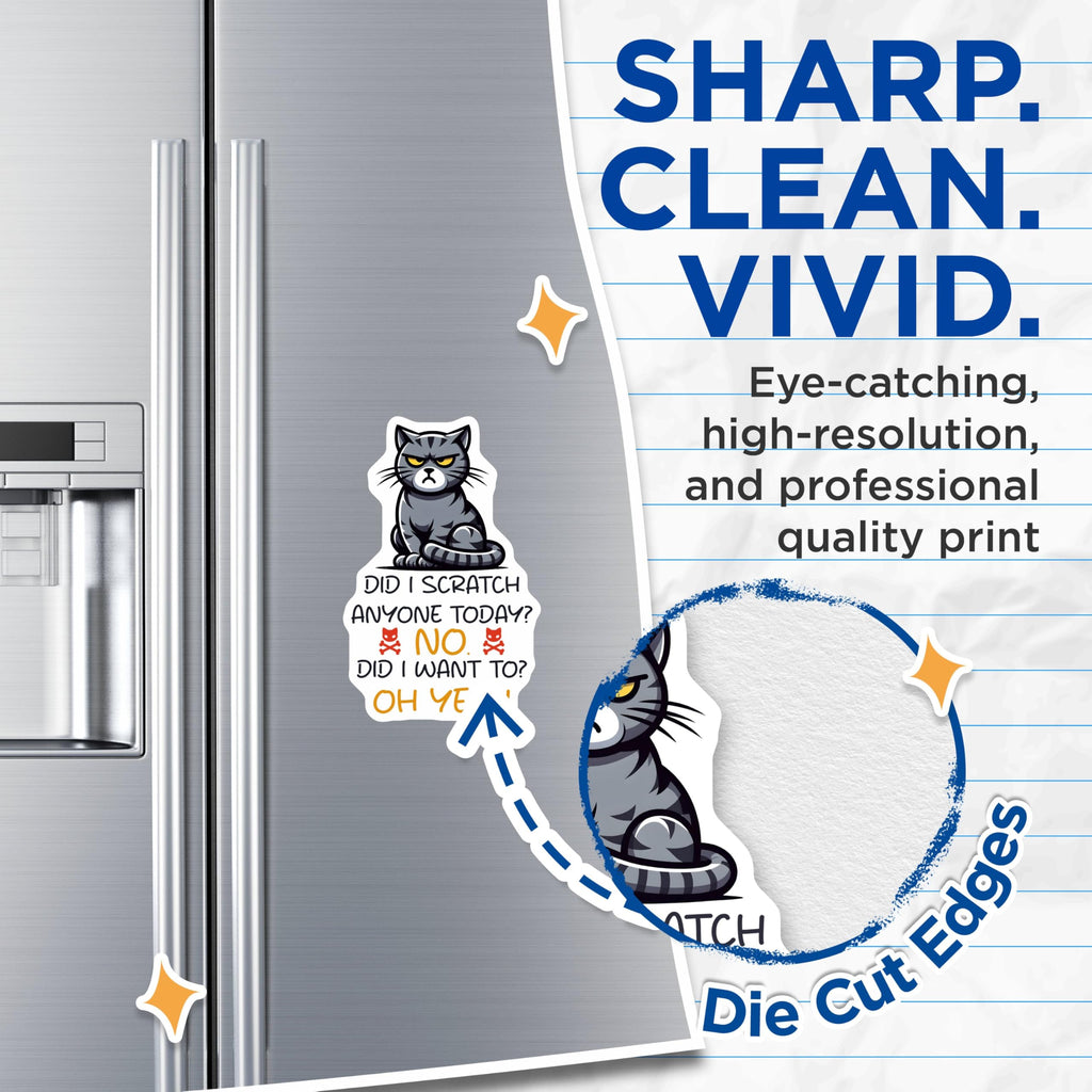 (2 Pack) Funny Cat Magnets - Did I Scratch Anyone Today - Oh Yeah Cat Mem - 5" On Longest Side - for Cars, Fridges, Toolboxes - Made in USA - MAG7348