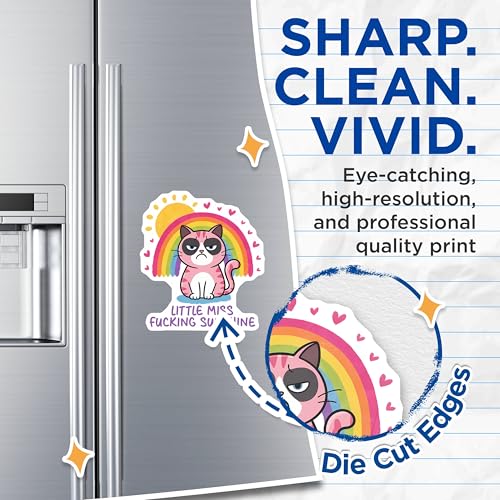 (2 Pack) Grumpy Cat Magnets - Funny Cat Quotes Magnets - Cute Cat Fridge Decor Magnets - 5" On Longest Side - for Cars, Refrigerators, Toolboxes, Lockers - Made in USA BMCS3309