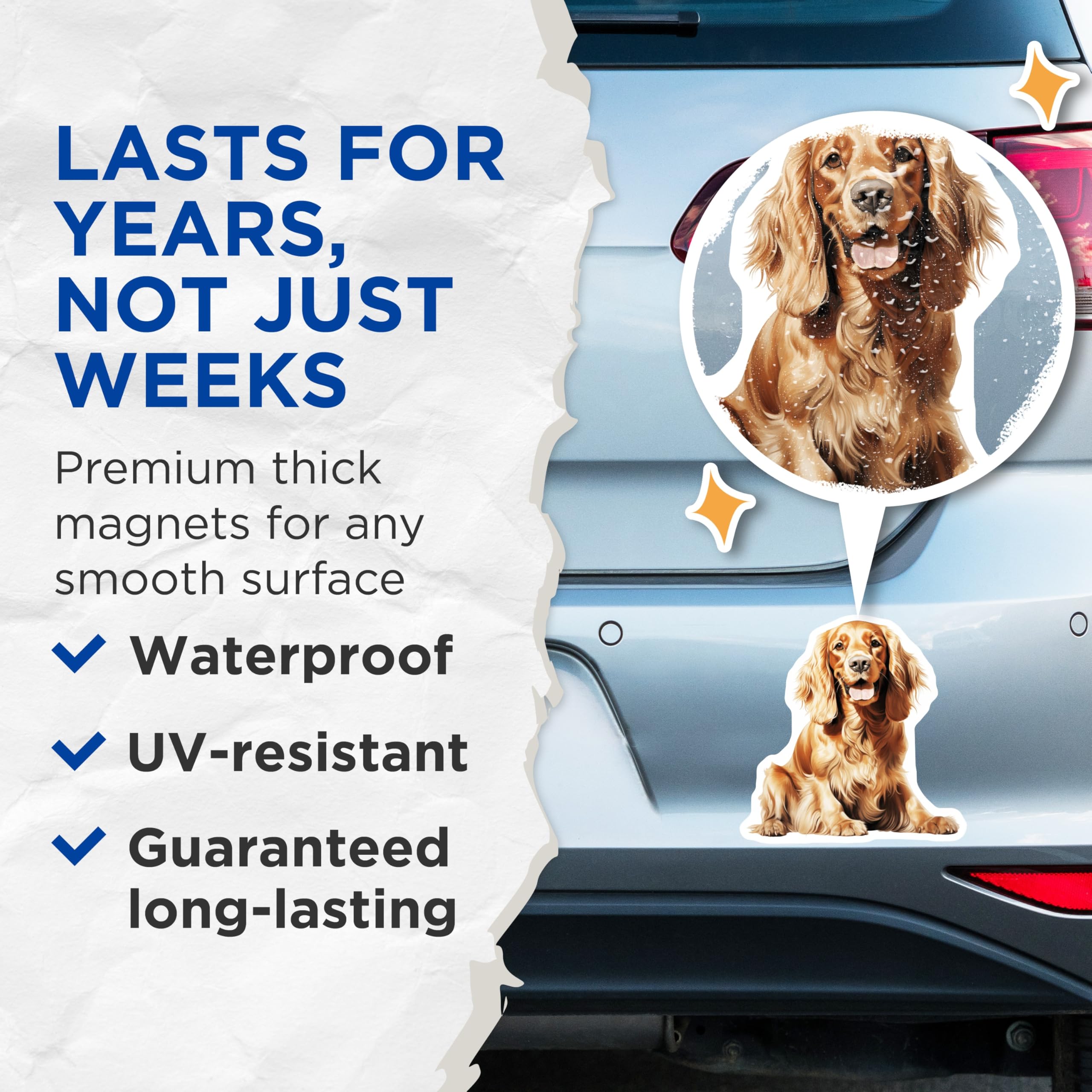 (2 Pack) Cocker Spaniel Dog Magnets - Happy Spaniel Art - Pet Lover Refrigerator Decor - Canine Puppy Design - 5 Inches On Longest Side - Thick Durable Magnet - Made in USA - MAG28111