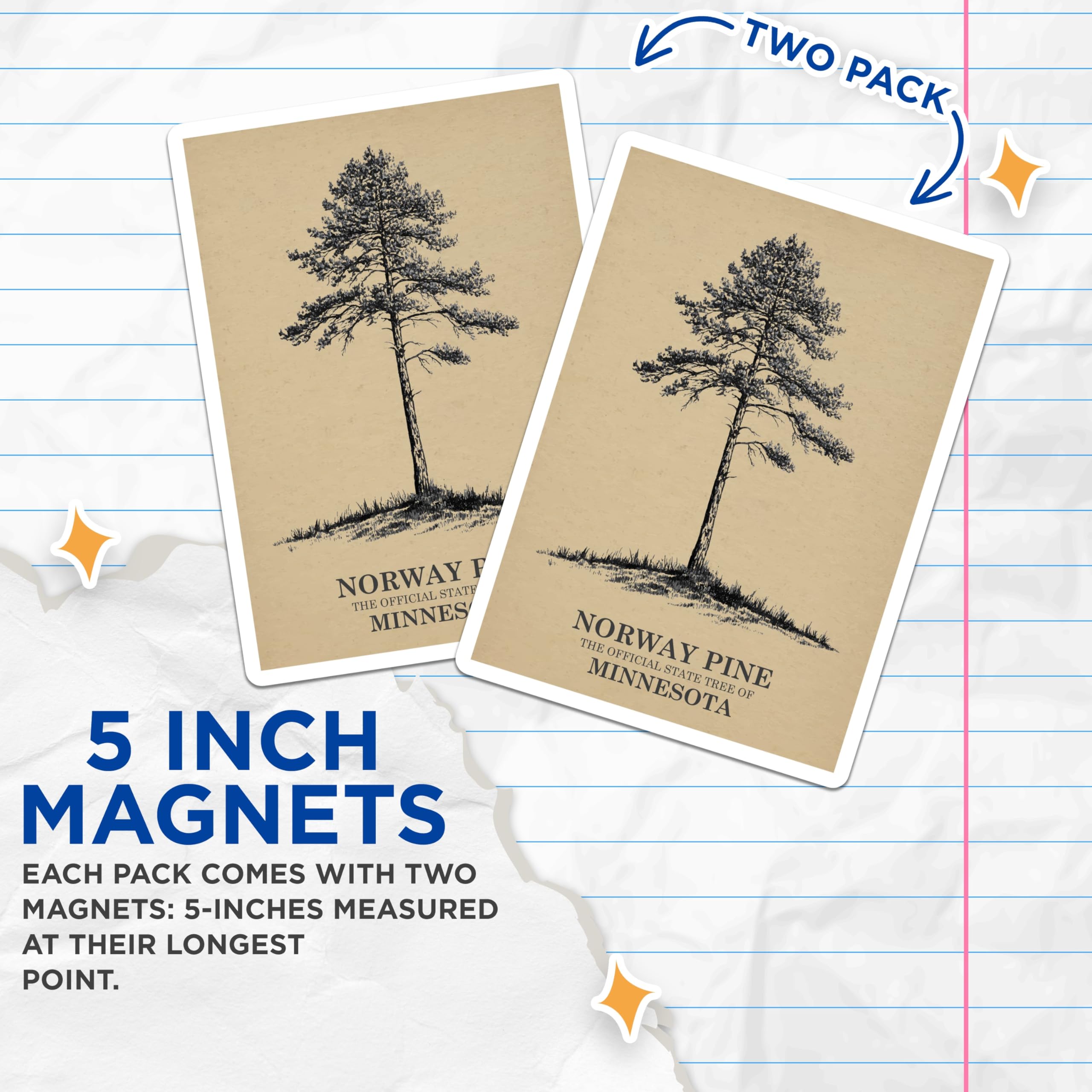 (2 Pack) Norway Pine Magnets - Minnesota State Tree Decor - Nature Art Collectibles - 5 Inches On Longest Side - Thick Durable Magnet - Made in USA - MAG19249
