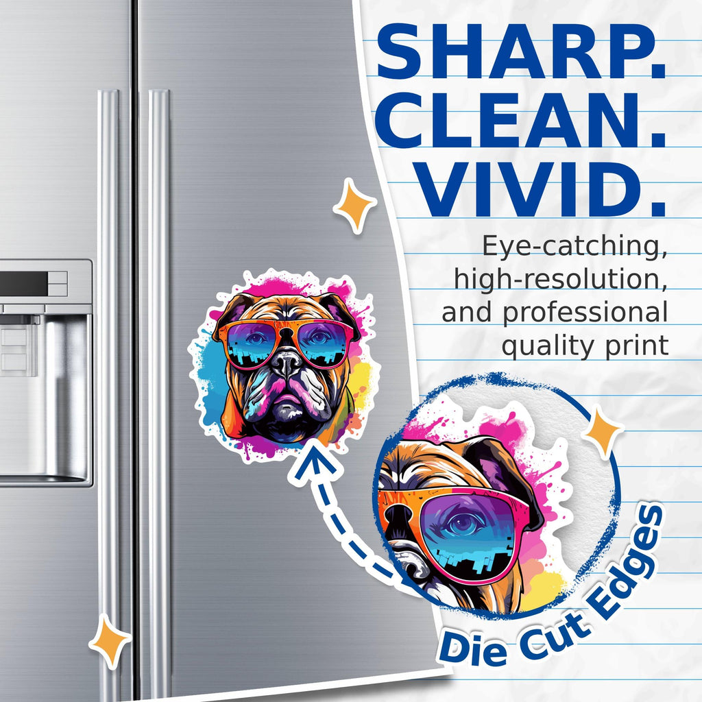 (2 Pack) Bulldog Dog Magnets - Bulldog with Sunglasses - Choose FromOver 100 Dog Breeds - 5" On Longest Side - Premium Magnet - Made in USA - MAG0326