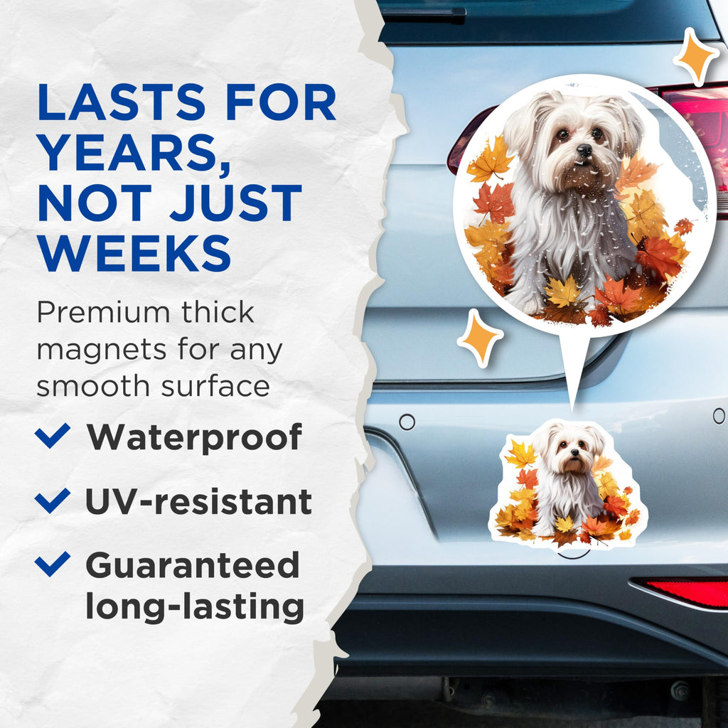 (2 Pack) Cute Maltese Dog Magnets - Fall Leaves Pet Lover Decor - Autumn Kitchen Locker Accent - 5 Inches On Longest Side - Thick Durable Magnet - Made in USA - MAG25839