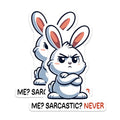 (2 Pack) Cute Bunny Sarcastic Stickers - Funny Animal Sticker - Sassy Rabbit Sticker for Laptops Tablets and More - 5" On Longest Side - Sticks to Smooth Flat Surfaces - Made in USA - BMCS5661