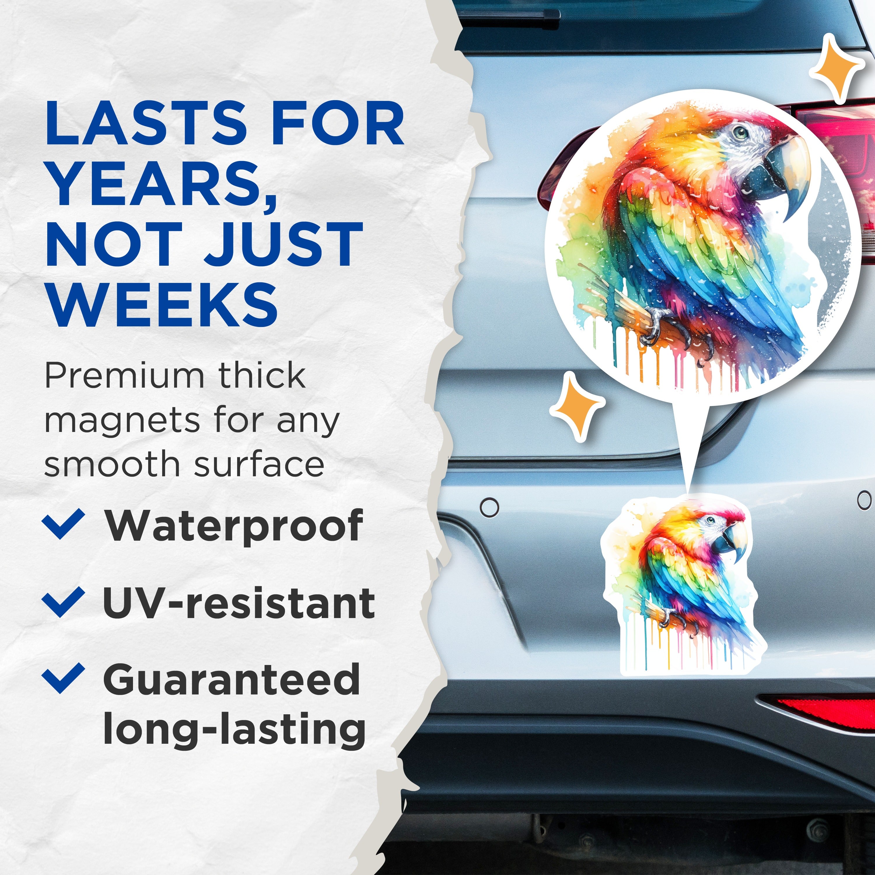 (2 Pack) Watercolor Parrot Magnets - Rainbow Macaw Art - Tropical Bird Decor - 5 Inches On Longest Side - Thick Durable Magnet - Made in USA - MAG38042