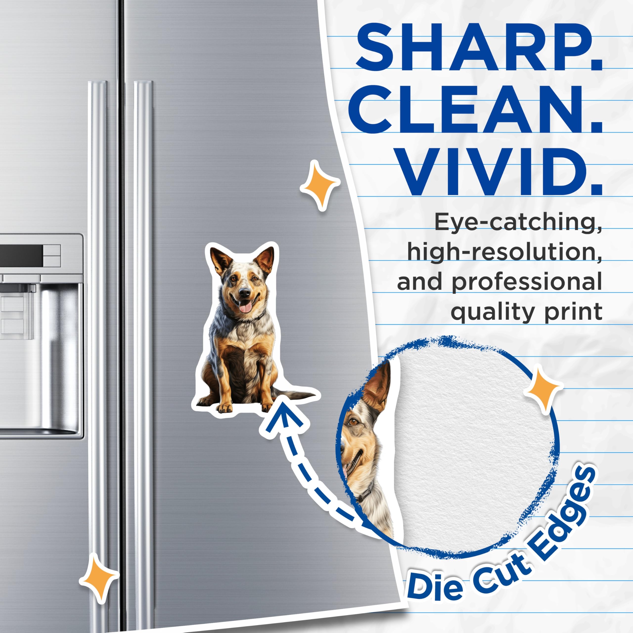 (2 Pack) Blue Heeler Dog Magnets - Australian Cattle Dog Decor - Pet Owner Kitchen Art - 5 Inches On Longest Side - Thick Durable Magnet - Made in USA - MAG27203