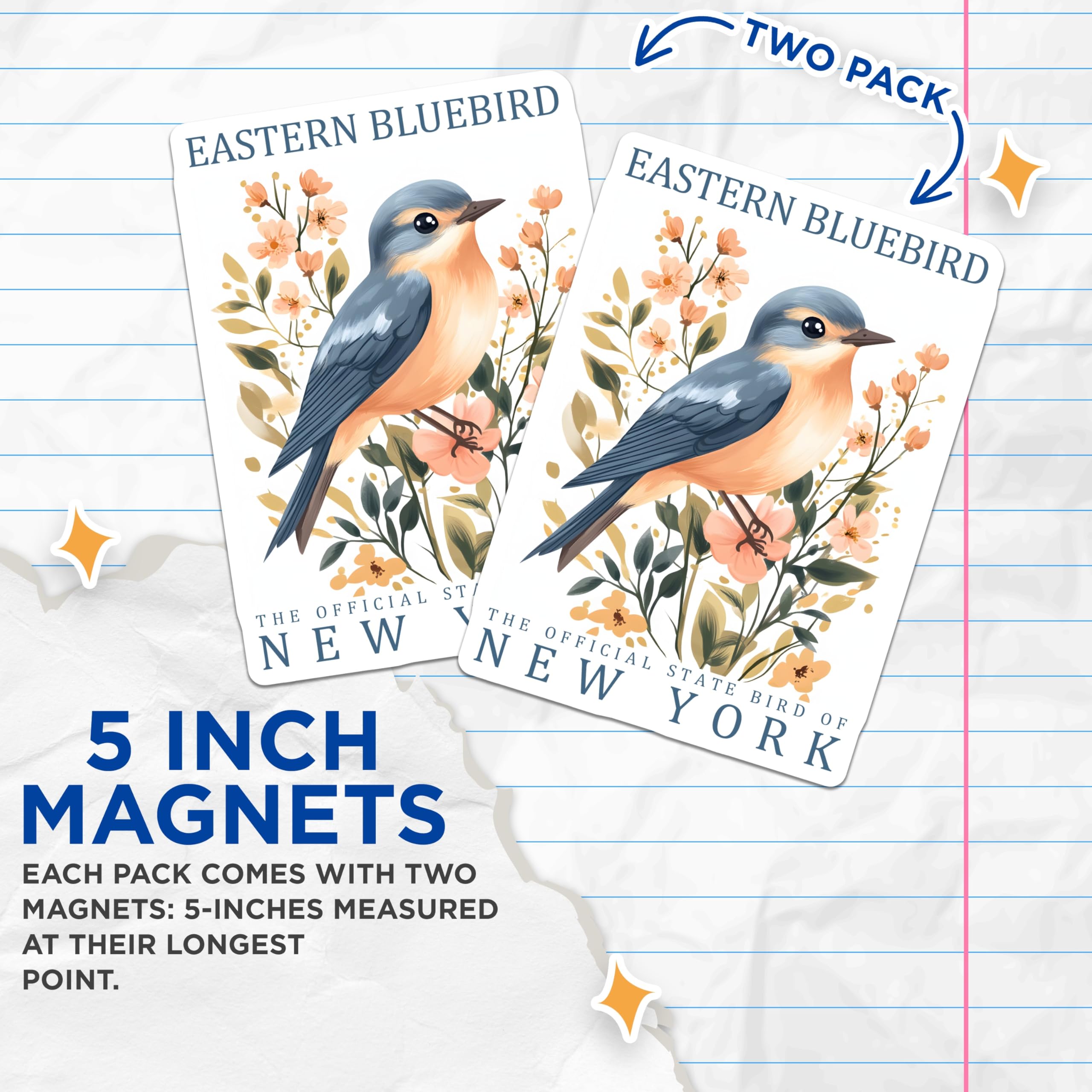 (2 Pack) Eastern Bluebird Magnets - New York State Bird Decor - Floral Birding Magnets - 5" On Longest Side - Premium Magnet - for Cars, Refrigerators, Toolboxes, Lockers - Made in USA - MAG17385